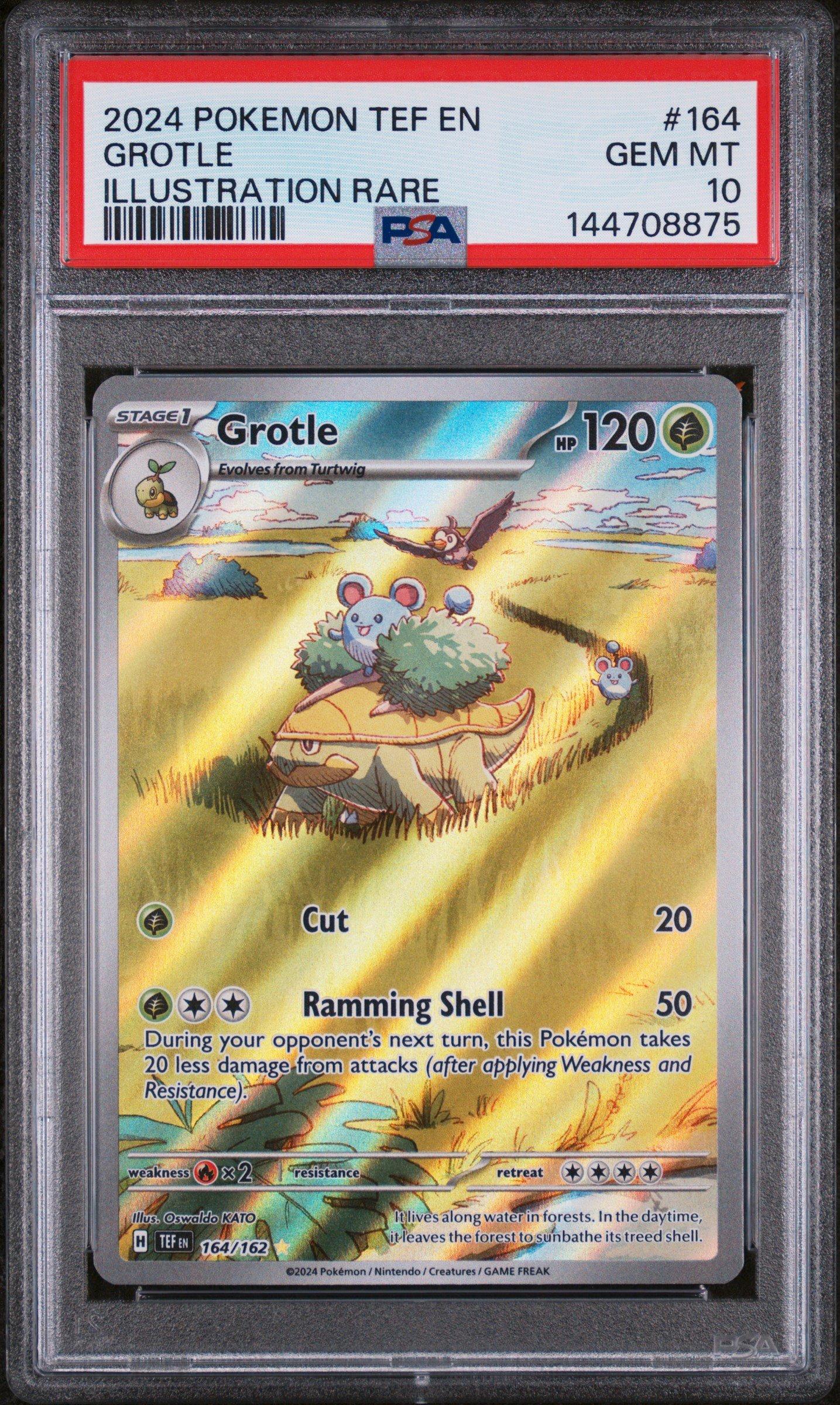 2024 Pokemon Tef En-temporal Forces 164 Grotle Illustration Rare PSA 10