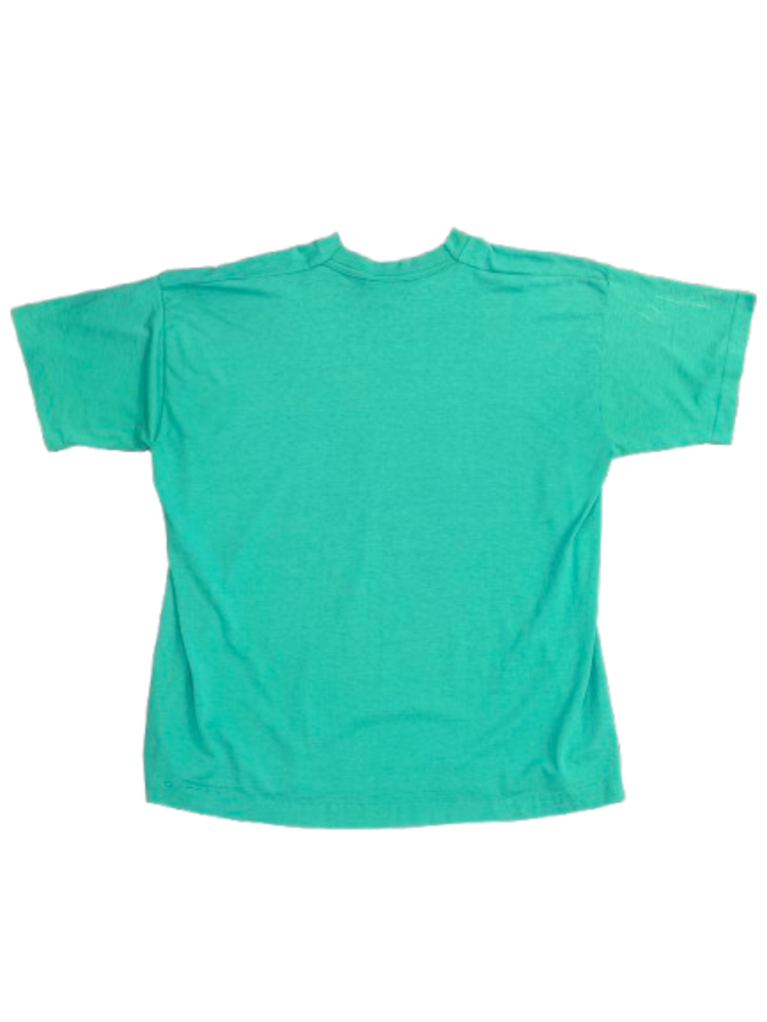 Y2K Vintage Florida Everglades Panther Tee